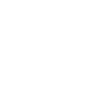 Equal Housing Opportunity and NMLS Consumer Access